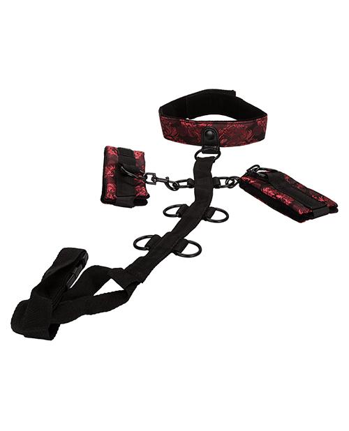 Ropes & Restraints